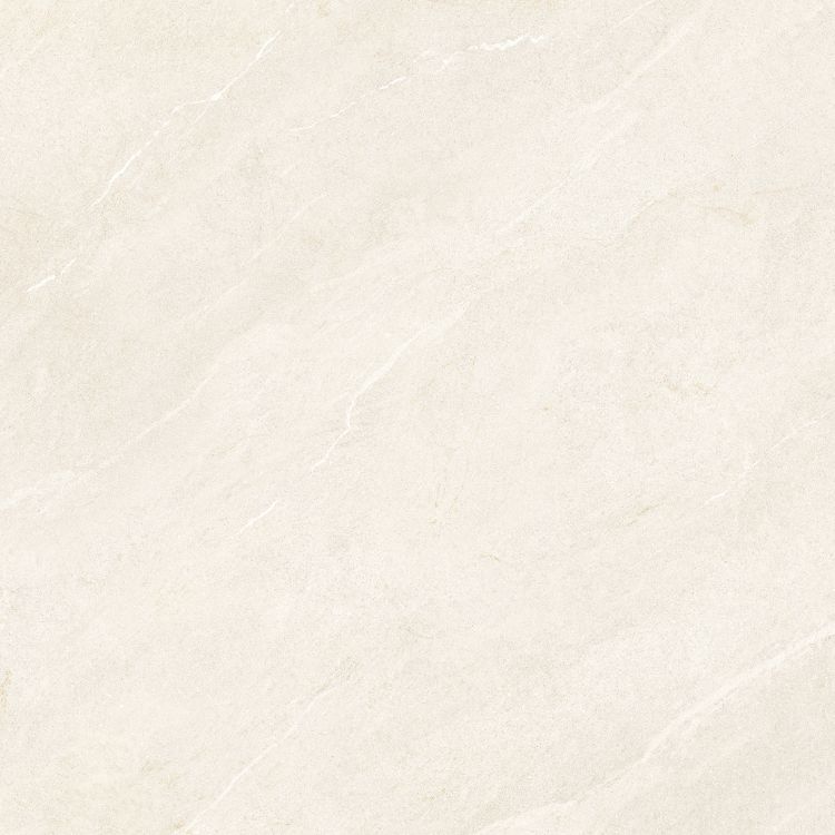 Dhara Sand Matte 48 x 48